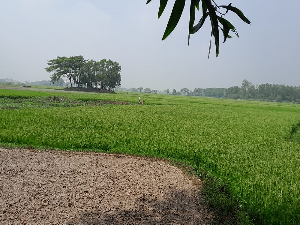 Simanto Real Estate Property Layout