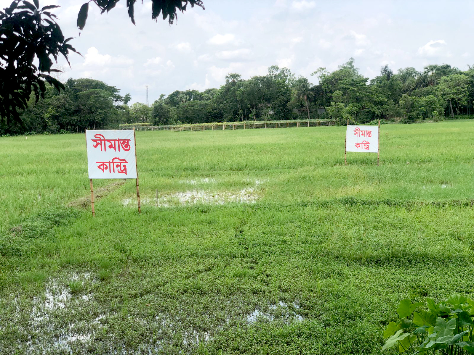Simanto Real Estate 3